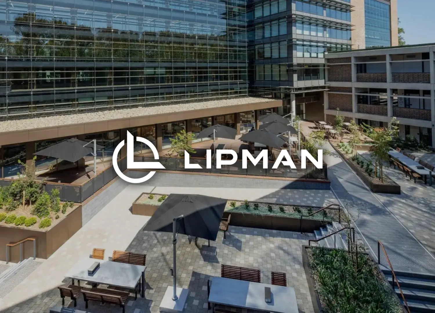 cusotmer stories lipman