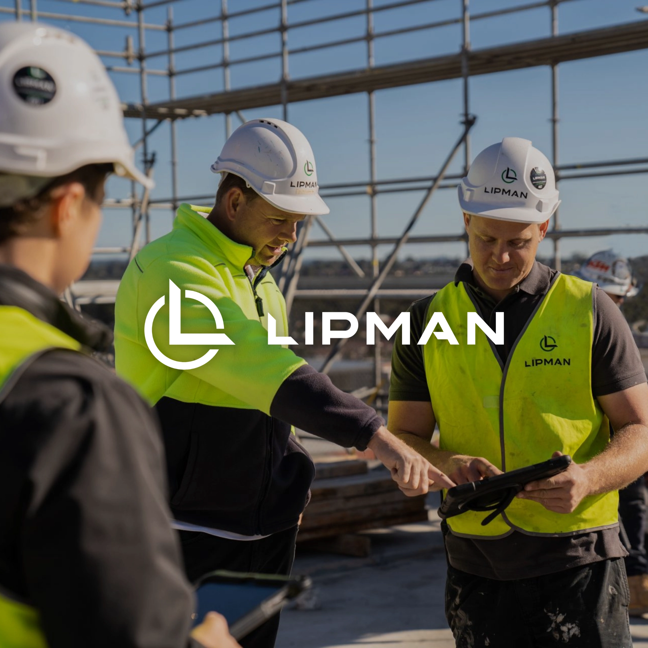 lipman overlay1