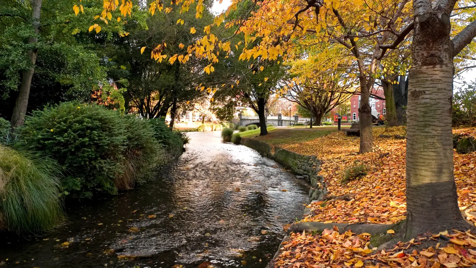The Avon River in autumn, central Christchurch